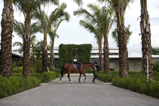 bali-equestrian-centre