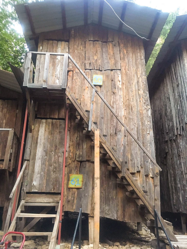 6-bed female dorm in a wooden cabin.